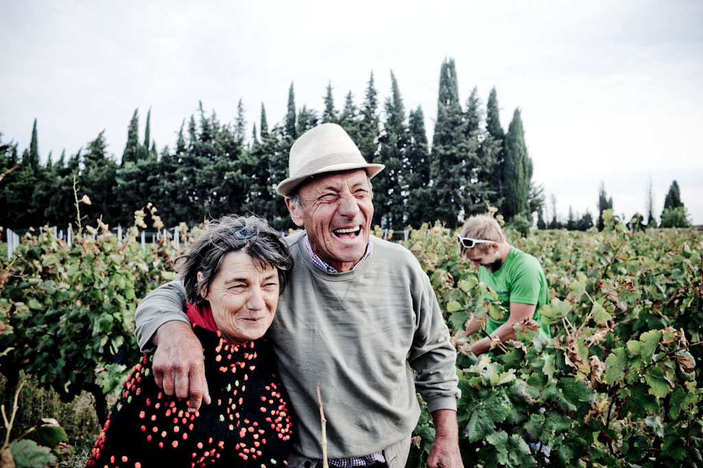 Jean e Martin David, produttori di vini naturali bio a Seguret in Cothe du Rhone