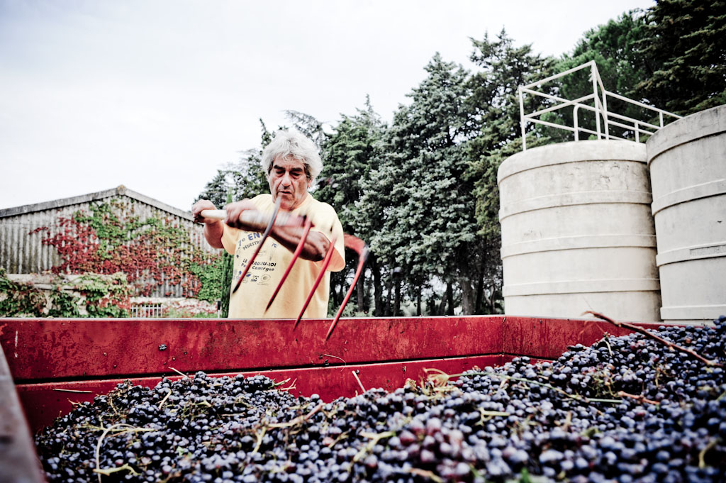 Gerard Eyraud di Domaine de Rapatel, vini naturali senza solfiti in Camargue