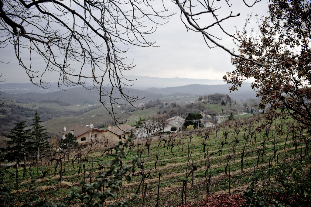 Il Collio Goriziano dei vini naturali di Paraschos