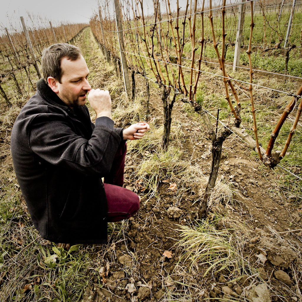 Wenzel Weinbau - Michael Wenzel Wenzel Weinbau - Michael Wenzel