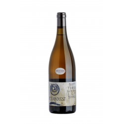 Bayt 2021 Vino Bianco IGP Terre Siciliane - VITEADOVEST