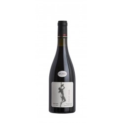 Erigone Pinot Noir San Pietro III Cru Classificazione 2021 - Marinic