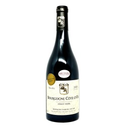 Bourgogne Cote D'Or Pinot Noir Sans Soufre 2019 - Fabien Coche