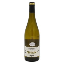 Oppidum Chardonnay Cotes de Auvergne AOC 2020 Bio