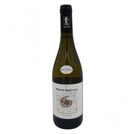 Ammonite Bianco 2022 - Monte Brecale Az. Agr.