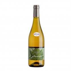 Sauvignon  Doc 2022 - Glassier