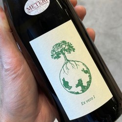 Ex vero I 2019- Werlitsch