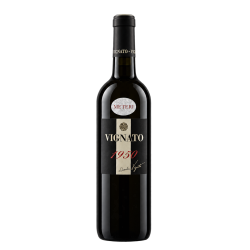 "Merlot 1950" 2020 - Davide Vignato