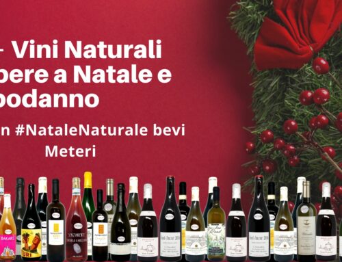 50+ Vini Naturali per le Feste